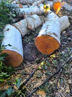 bois pour chauffage, Jardin & Terrasse, Enlèvement