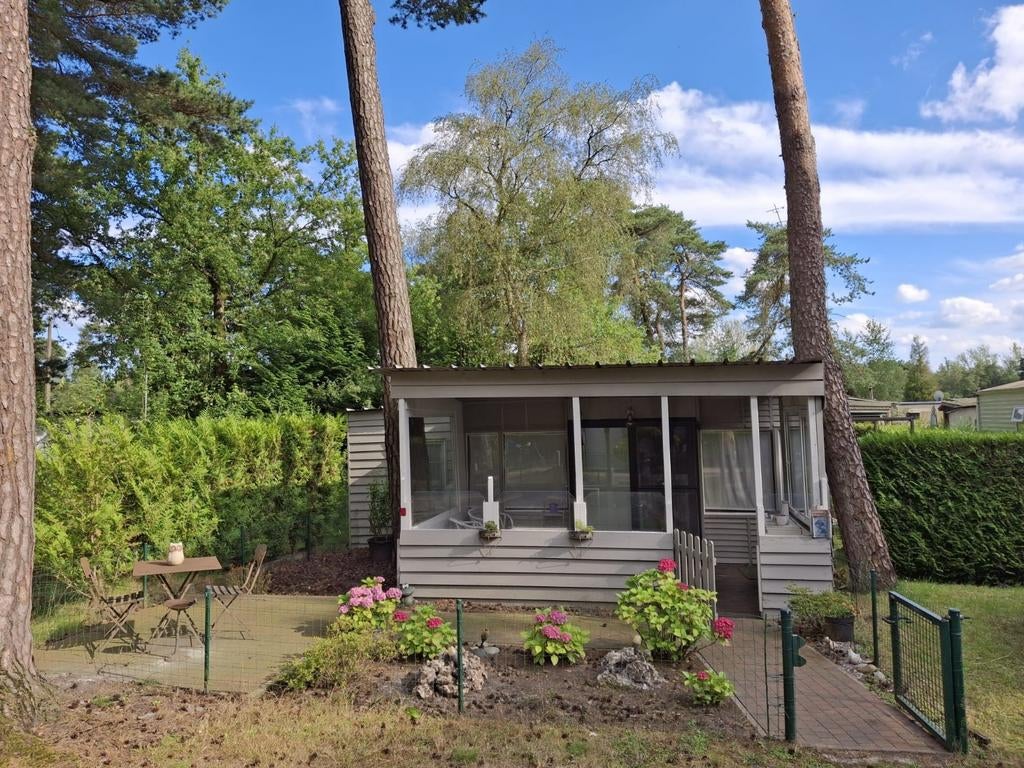 Chalet, Vacances, Campings