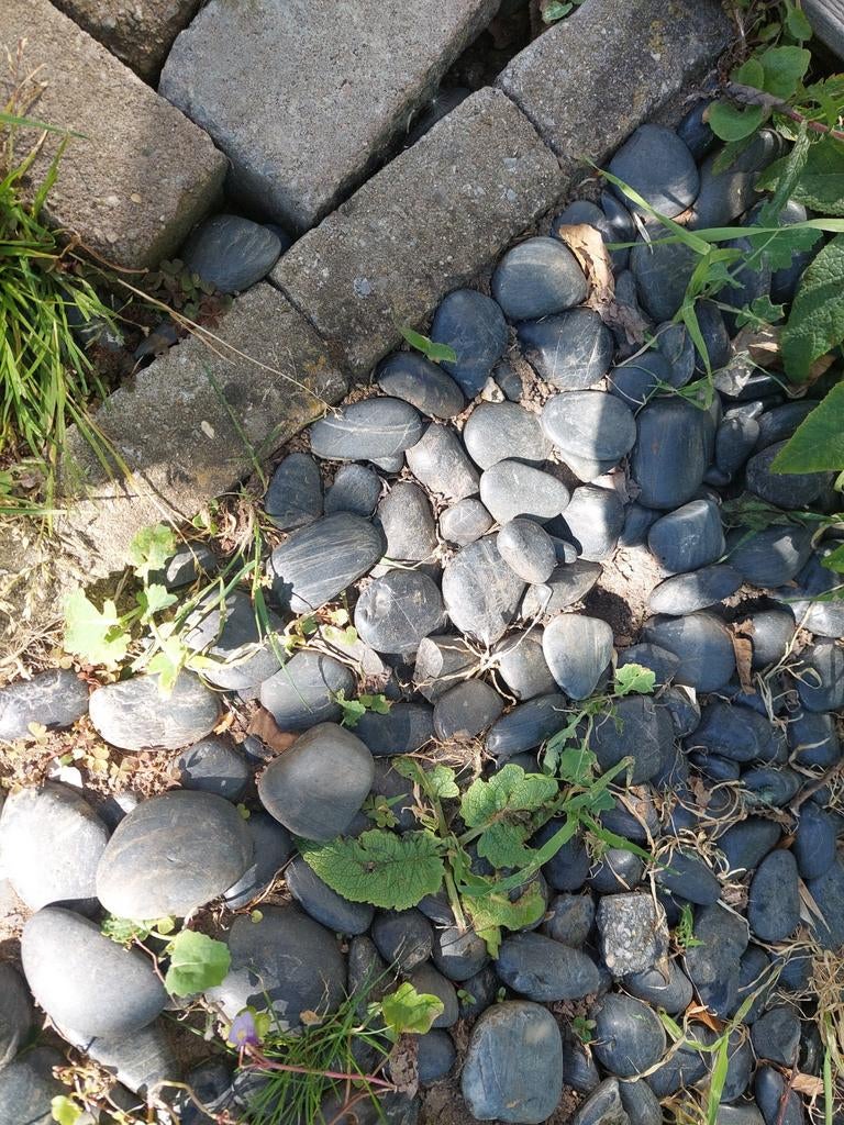 Rochers de rivière gris noirs plats et lisses, Jardin & Terrasse, Enlèvement, Noir