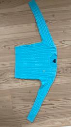 Ralph lauren katoenen trui 12 jaar Lichtblauw, Enfants & Bébés, Vêtements enfant | Taille 152, Enlèvement ou Envoi, Comme neuf