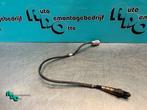 Sonde lambda d'un Hyundai I10 (I10 08-), -, 3 mois de garantie, Utilisé, Hyundai