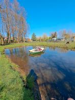 Gratis vissen gezocht voor grote natuurvijver, Dieren en Toebehoren, Vissen | Vijvervissen