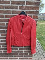 Dames leer jas MNG Mt M/38, Kleding | Dames, Jassen | Winter, Maat 38/40 (M), MNG, Ophalen of Verzenden, Gedragen