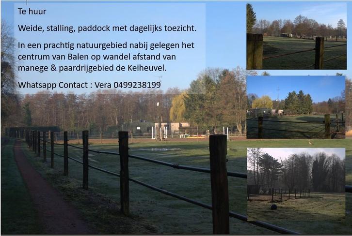 Te Huur Weide Balen, Animaux & Accessoires, Box & Pâturages, Mise à l'étable, Pâturage