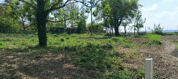 Terrain à batir en Pas de Calais, Immo, Terrains & Terrains à bâtir, 500 à 1000 m²