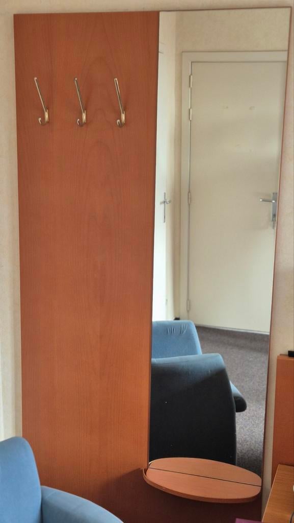 Passpiegel, Huis en Inrichting, Ophalen