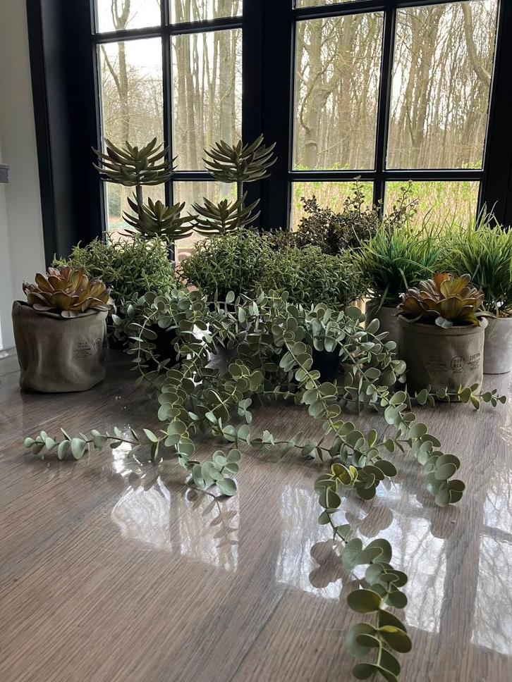 Complete set decoratie planten + potten, Maison & Meubles, Accessoires pour la Maison | Plantes & Fleurs artificielles, Comme neuf