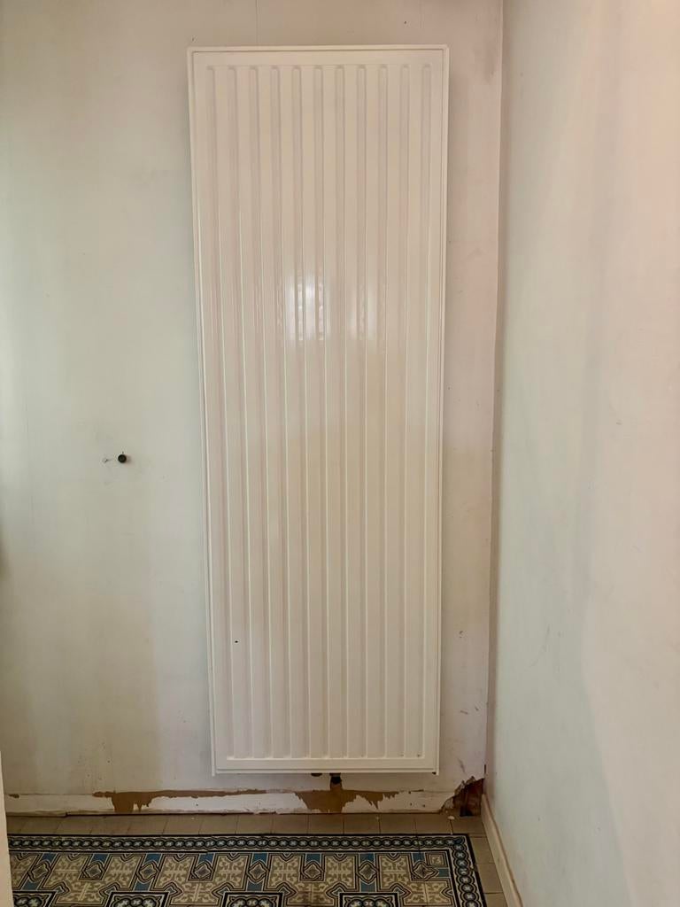 Verticale Radiator 180 x 60 x 10 cm - in goede staat, Ophalen, Gebruikt, Radiator, 60 tot 150 cm