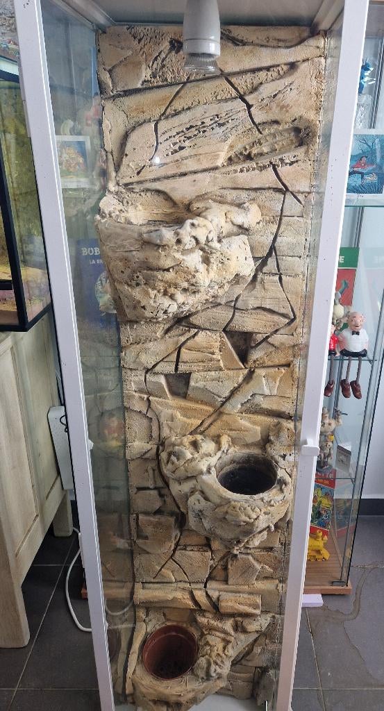 Terrarium - Vitrine transformée pour Gecko à Crète ou autre, Animaux & Accessoires, Reptiles & Amphibiens | Accessoires, Comme neuf
