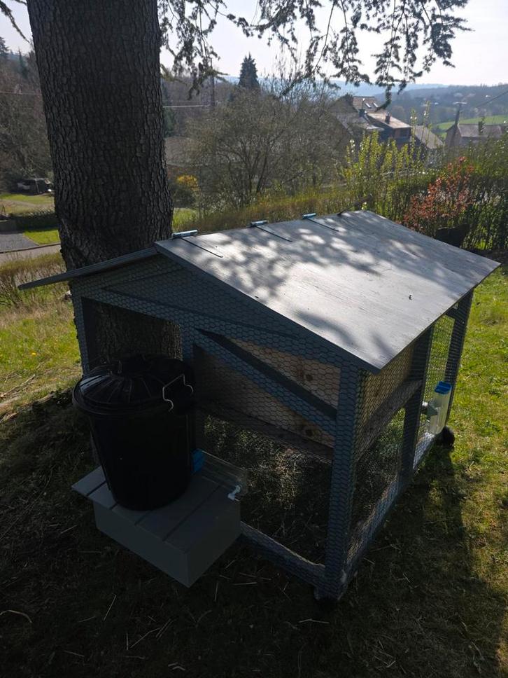 Clapier ou poulailler, Dieren en Toebehoren, Knaagdieren en Konijnen | Hokken en Kooien, Ophalen