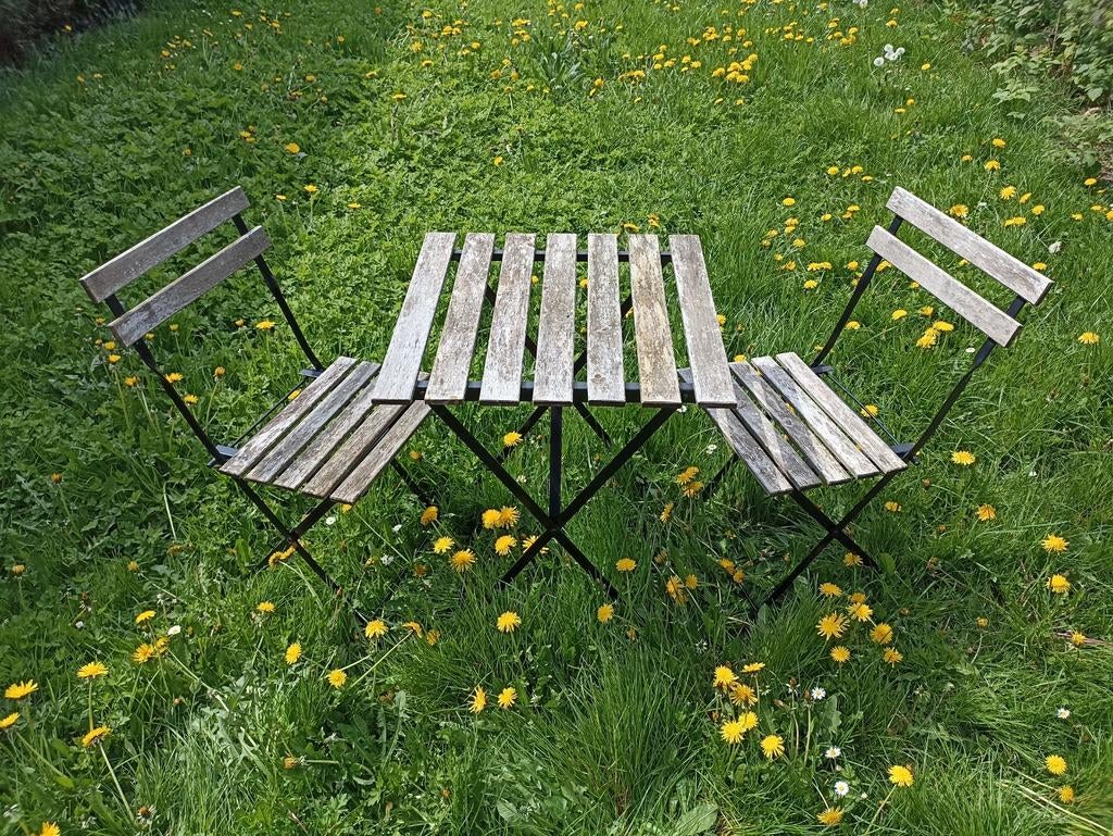 IKEA TÄRNÖ 2 chaises + table, Enlèvement, Utilisé, Bois, Pliant