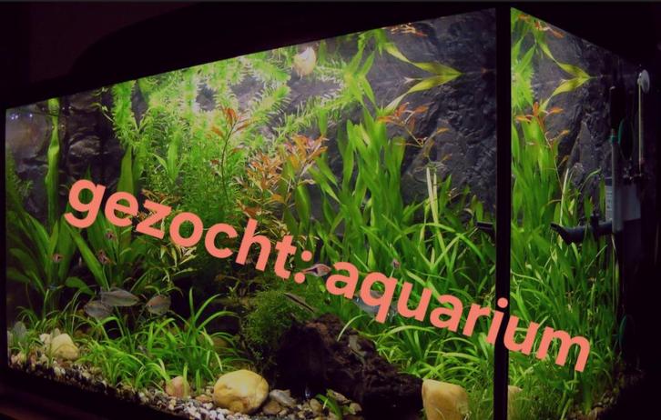Gezocht Aqua van +240L, Dieren en Toebehoren, Vissen | Aquaria en Toebehoren, Ophalen