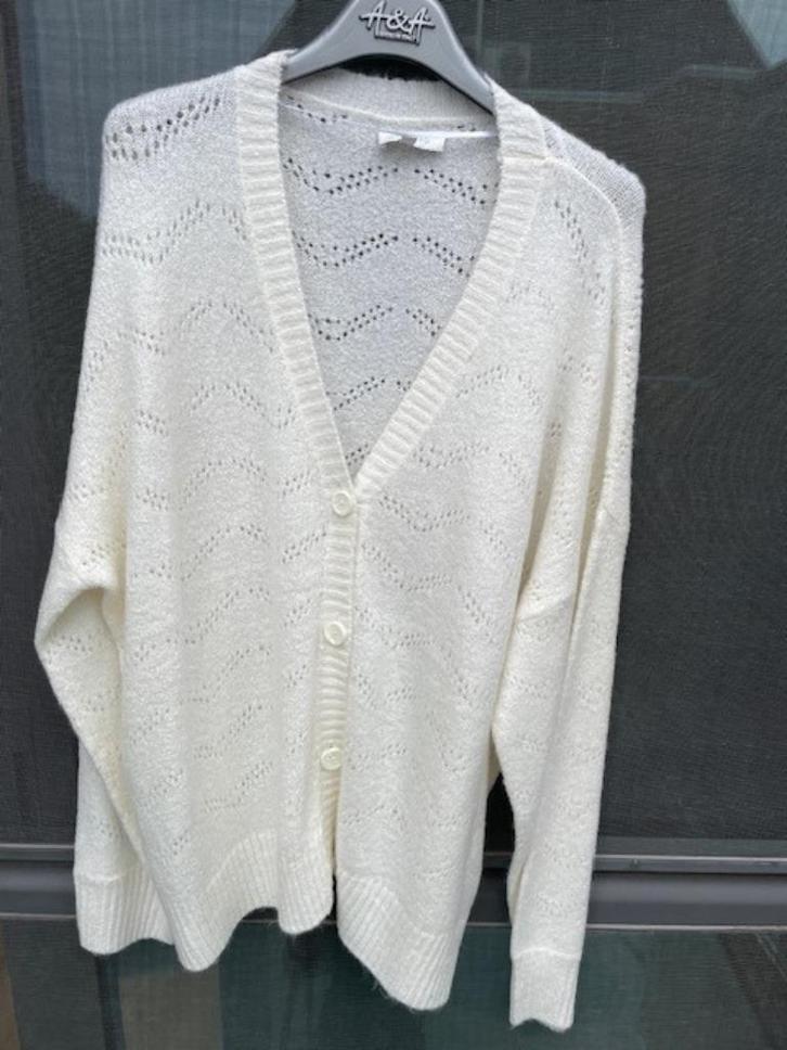 Gilet Bel&Bo - Mt 2XL, Kleding | Dames, Truien en Vesten, Nieuw, Maat 46/48 (XL) of groter, Beige, Ophalen of Verzenden
