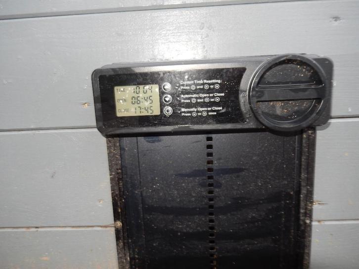 Éclosion de poulet, Animaux & Accessoires, Volatiles | Accessoires, Comme neuf, Enlèvement ou Envoi