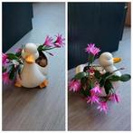 À vendre le cactus, Enlèvement, Comme neuf