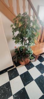 Kunstplant met koperen ketel, Huis en Inrichting, Ophalen, Gebruikt