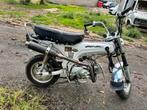 Joli Honda DAX, 4 vitesses, Comme neuf, 50 cm³, Classe B (45 km/h)