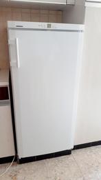Frigo / koelkast Liebherr 248L A++, Elektronische apparatuur, Koelkasten en IJskasten, Ophalen