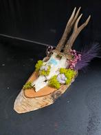 Prachtige echte Reebok met oa echte edelstenen etc., Ophalen