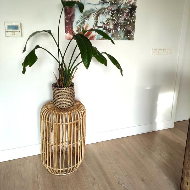 Rotan bijzettafeltje/ plantenstaander - Scandinavisch/boho, Huis en Inrichting, Tafels | Salontafels, Gebruikt, Ophalen