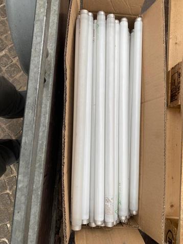 TL lampen met starter beschikbaar voor biedingen