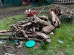 Bois a donner, Jardin & Terrasse, Bois de chauffage