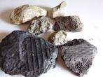 Fossiles et minéraux, Enlèvement