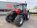 Case IH Puma 240 CVX AFS Connect Stage V, Zakelijke goederen, Landbouw | Tractoren, Gebruikt, Meer dan 160 Pk, Case IH, Tot 2500
