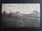 Postkaart Knokke Knocke Dans les dunes du Zoute Geit, Verzamelen, Verzenden, Voor 1920, Gelopen, West-Vlaanderen