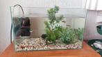 2 visaquariums met toebehoren en 6 vissen, Dieren en Toebehoren, Ophalen, Zo goed als nieuw