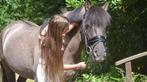 Lieve c pony te koop, Dieren en Toebehoren, Ophalen of Verzenden, Dressuur