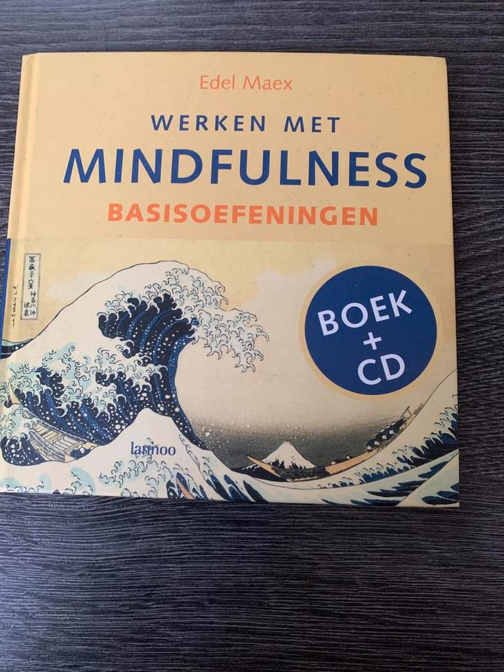 E. Maex - Basisoefeningen, Boeken, Esoterie en Spiritualiteit, Ophalen of Verzenden