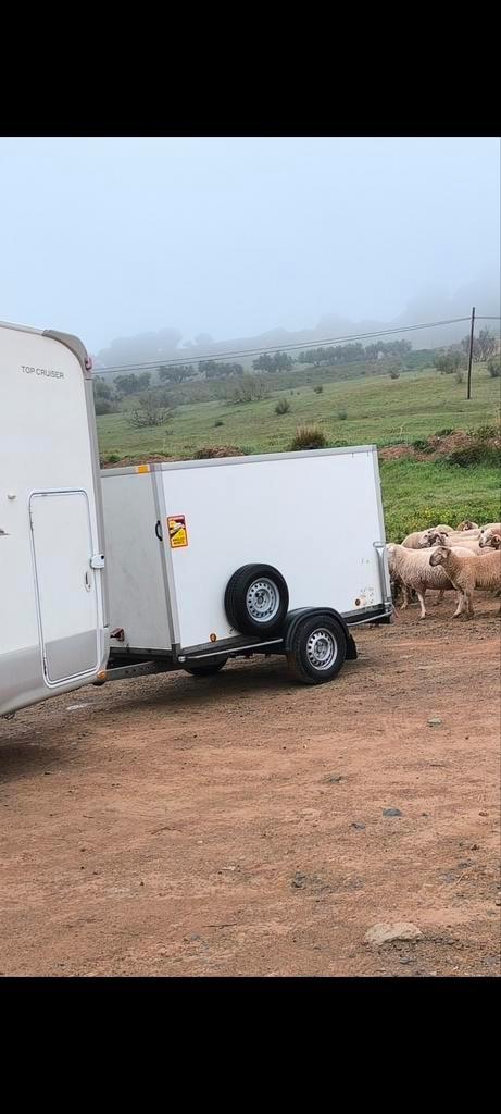 Gesloten geremde aanhanger., Auto diversen, Aanhangers en Bagagewagens, Gebruikt, Ophalen