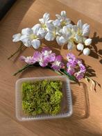 Sierbloemen en mos, Ophalen of Verzenden, Zo goed als nieuw