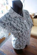 sterk uniek zilver licht transparante zilver blouse, Kleding | Dames, Grijs, Maat 38/40 (M), Ophalen of Verzenden, Zo goed als nieuw