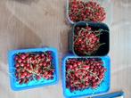 aalbessen rood 250 gr, Zakelijke goederen, Landbouw | Aardappelen, Groenten, Fruit en Vlees, Ophalen