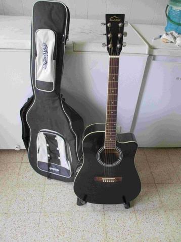 semi-akoestische gitaar  beschikbaar voor biedingen