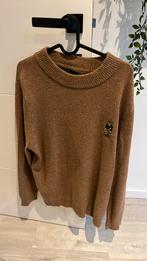 Trui ralph lauren, Ophalen of Verzenden, Zo goed als nieuw