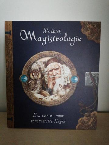 D. Steer - Werkboek magistrologie special, Enlèvement ou Envoi, Comme neuf, D. Steer