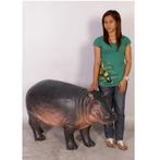 Bébé hippopotame — Longueur de l'hippopotame 127 cm