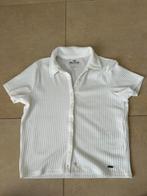 Witte polo Hollister maat M, Maat 38/40 (M), Wit, Ophalen of Verzenden, Korte mouw