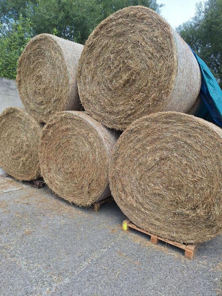 Hooi 400kg voor €50, Articles professionnels, Agriculture | Aliments pour bétail, Enlèvement