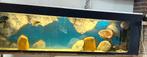 Aquarium met vissen en pompen 200€, Dieren en Toebehoren, Vissen | Aquariumvissen