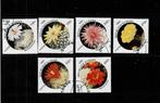 AFRIQUE BENIN FLEURS DE CACTUS 6 TIMBRES OBLITERES - SCAN, Enlèvement ou Envoi, Autres pays, Affranchi