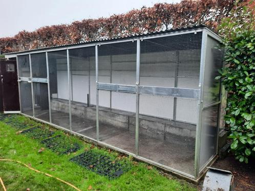 Voiliere voor parkieten of kleine papegaaien, Dieren en Toebehoren, Vogels | Parkieten en Papegaaien, Parkiet