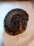 Ball python ghi phantom dame, Animaux & Accessoires, Reptiles & Amphibiens
