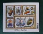 2005 Blok Schelpen, postfris, Postzegels en Munten, Ophalen of Verzenden, Postfris, Postfris