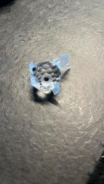Swarovski kogelvis mini, Ophalen of Verzenden, Nieuw