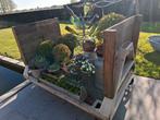 Grote industriele kar, Tuin en Terras, Ophalen, Zo goed als nieuw