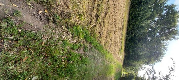 Terrain france, Immo, Buitenland, Frankrijk, Overige soorten, Landelijk